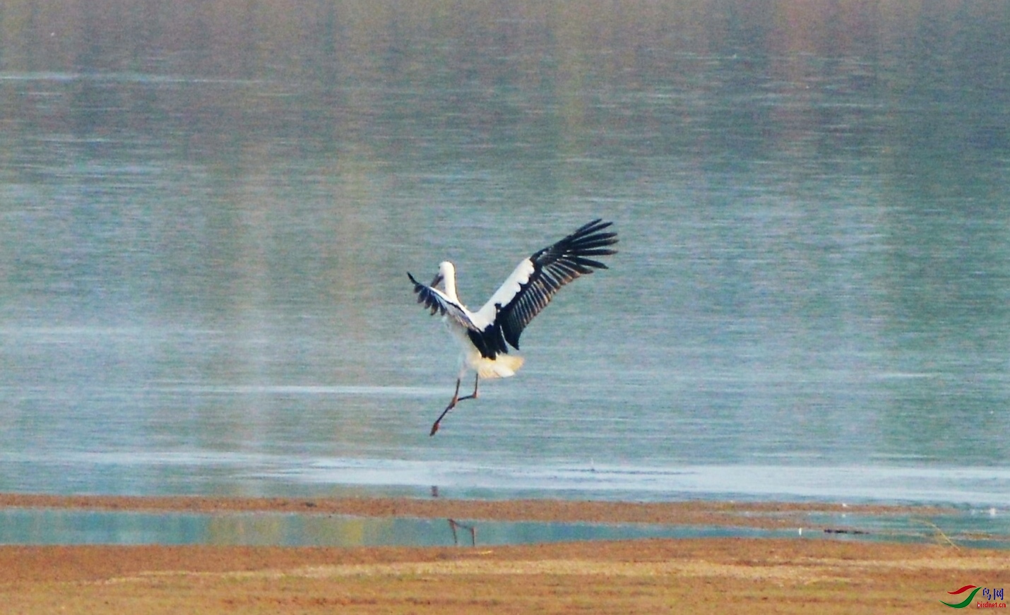 IMG_20201229_183543.jpg