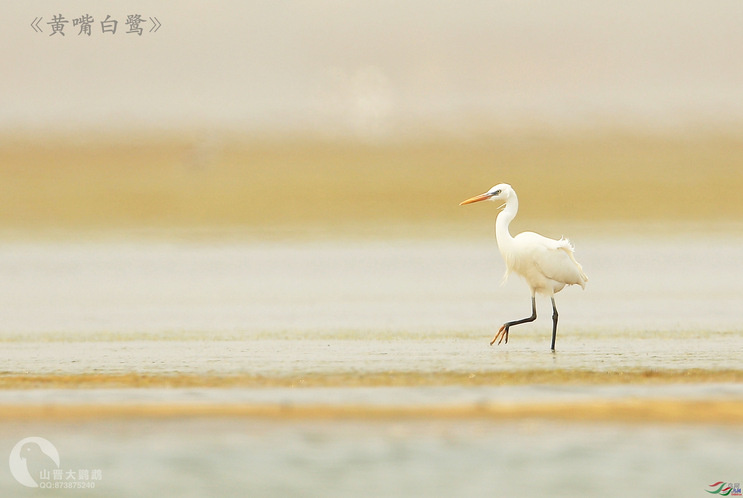 ɽ��������  ��ʦ�����ڽ���ʡ�γ���.jpg