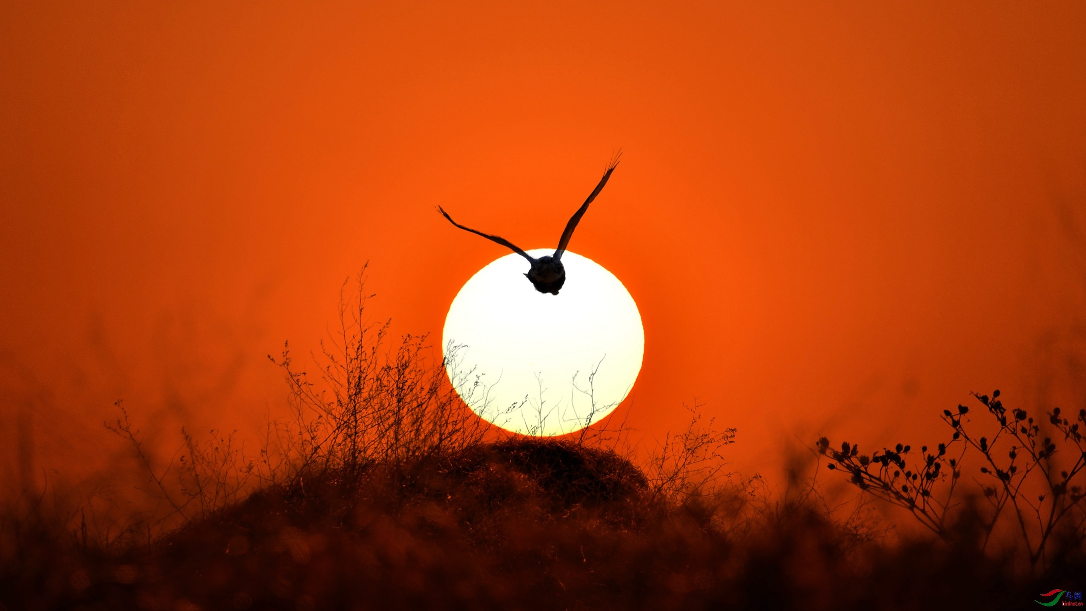 IYK_6638 ����_����.jpg