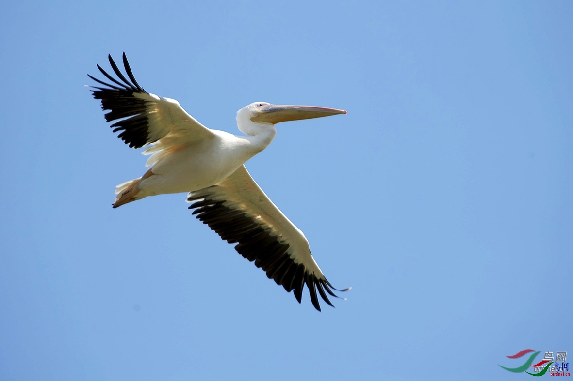 �ٺ���� ��ʦ�����ڹ㶫ʡ������.jpg