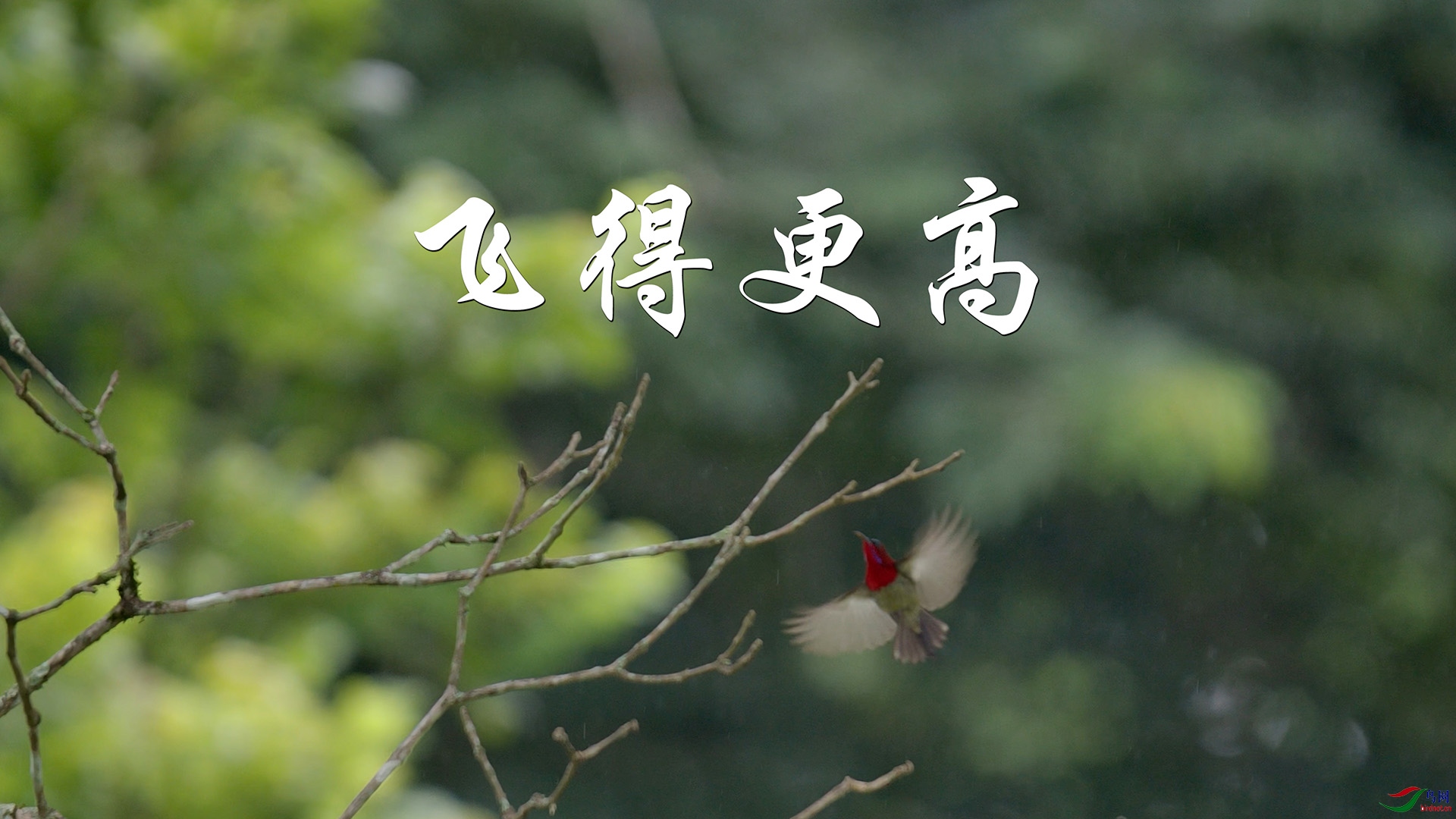 �ɵø��� out01.00_00_01_27.Still001-2.jpg