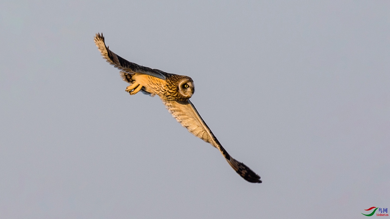 XCG_4903 - ���� - ����.jpg