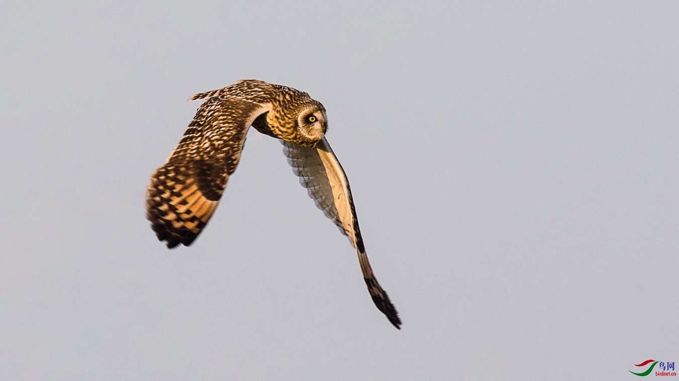 XCG_4901 - ���� - ����.jpg