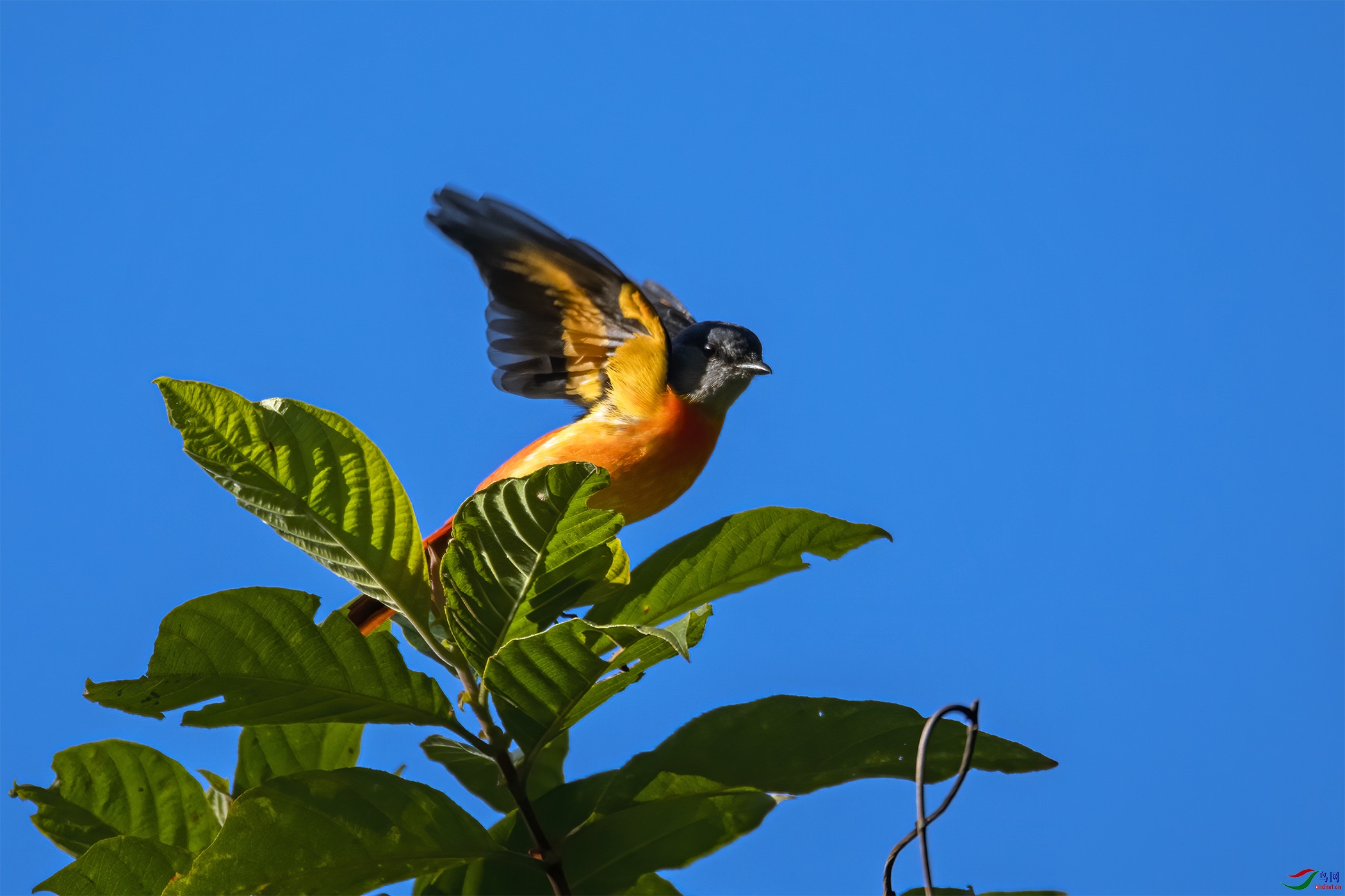 DSC_1101-1.jpg