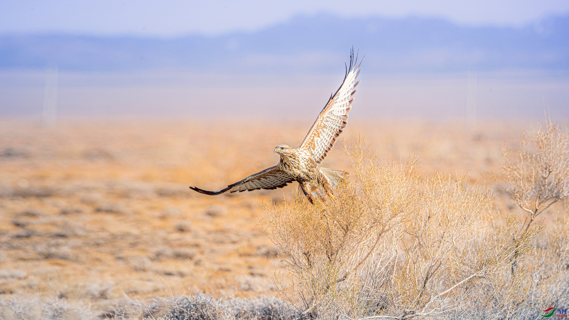 ����ش�-004.jpg