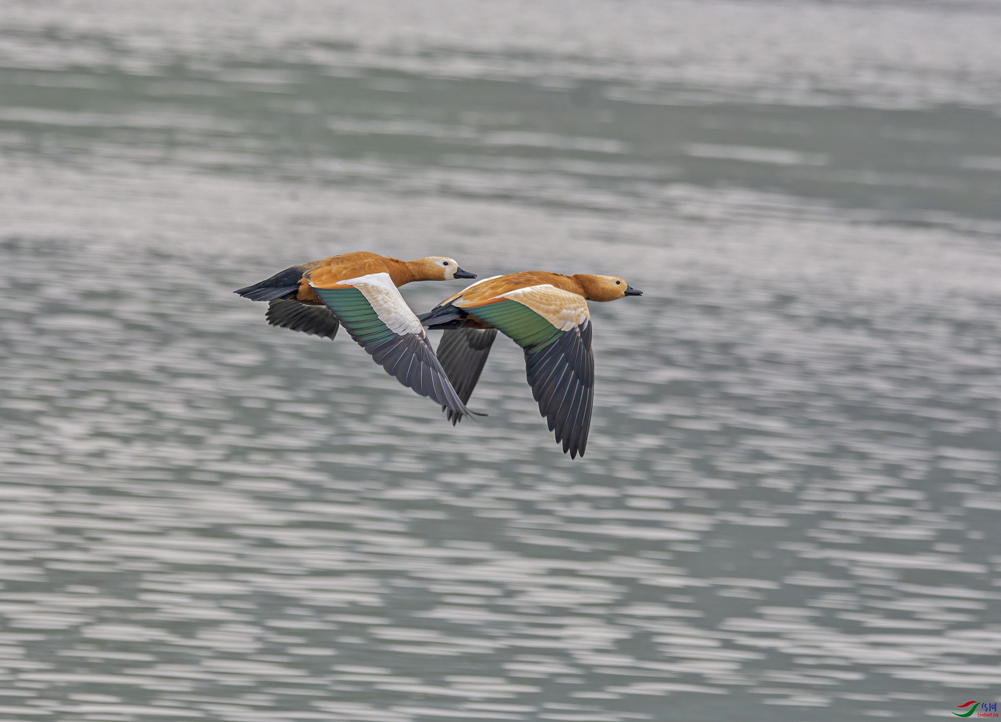 DSC_0789.jpg