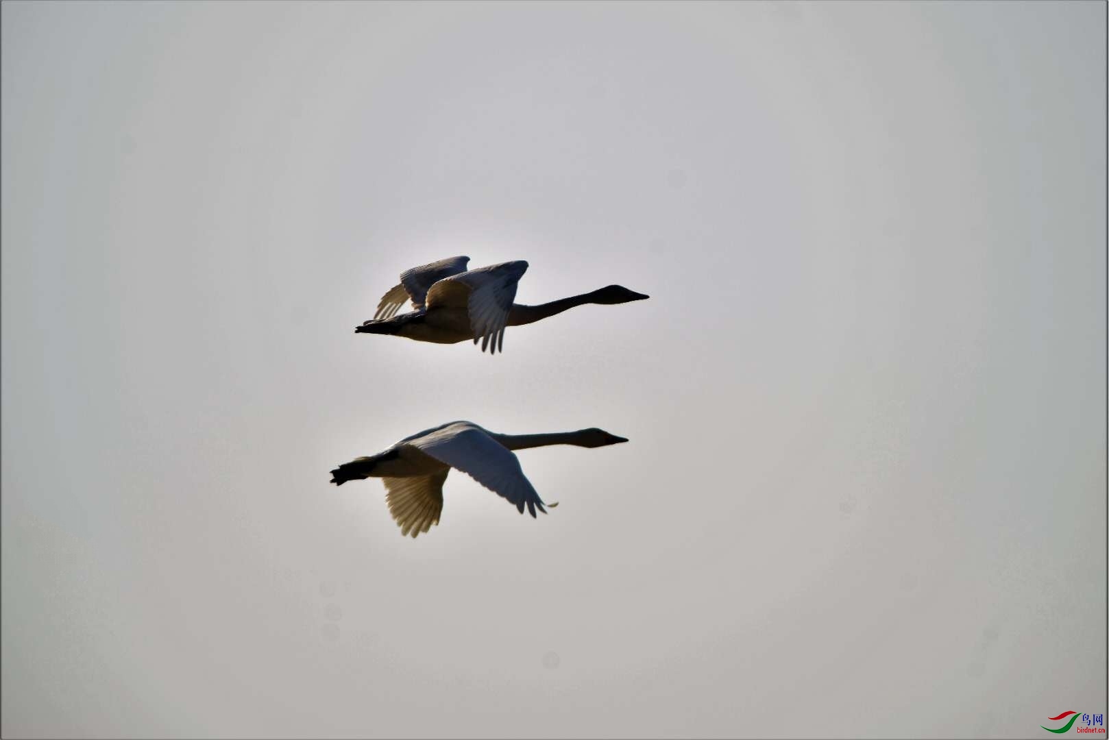 IMG_20201231_123653.jpg