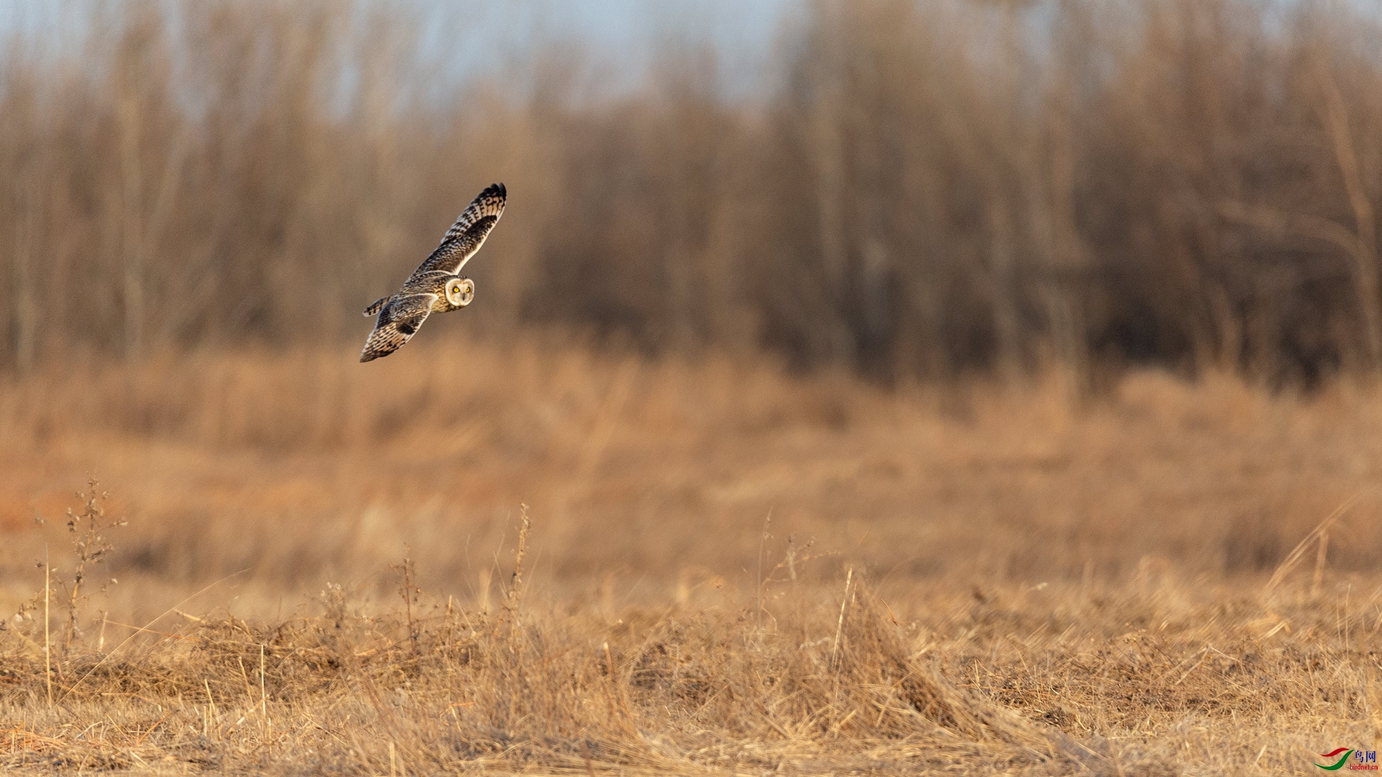 A15J2688_20201230.jpg-1.jpg