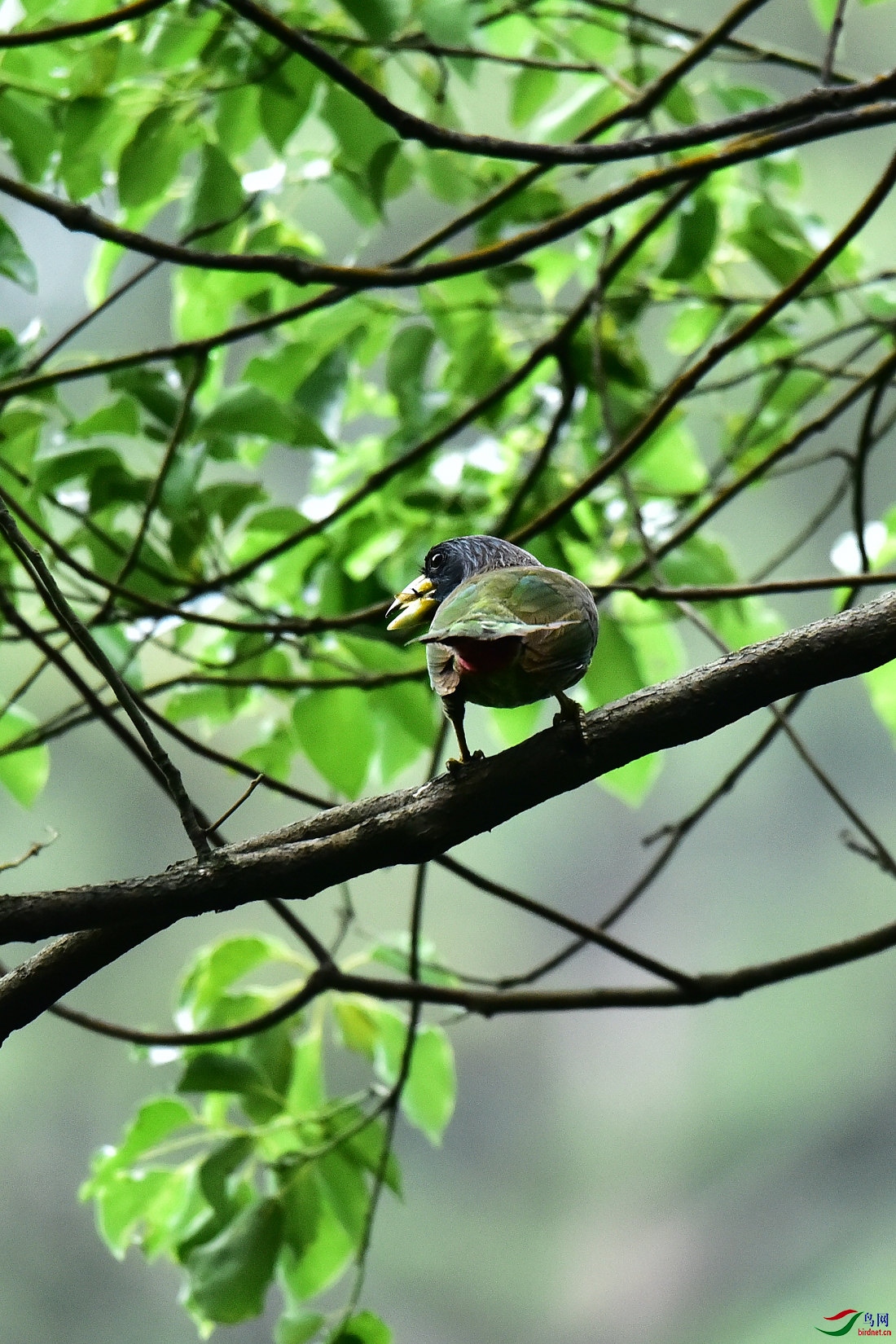 DSC_0560.JPG