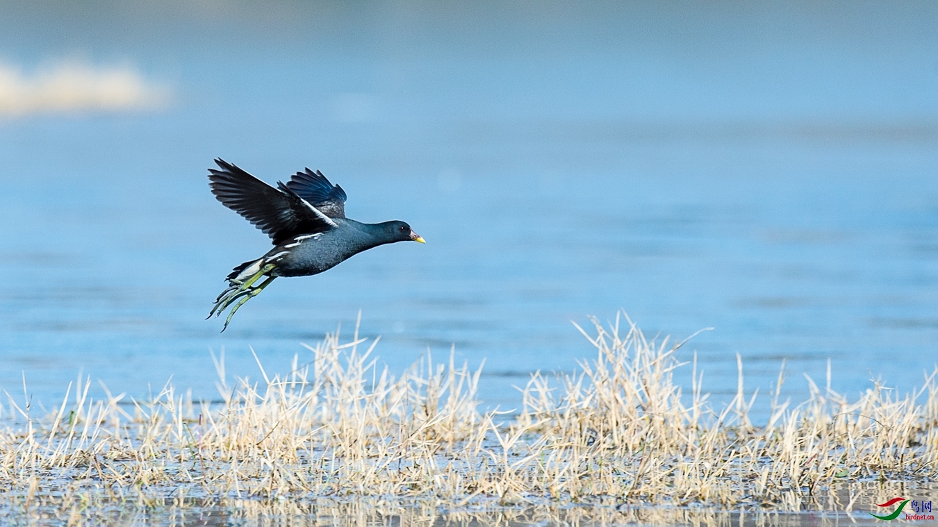 XCG_7274 - ����.jpg