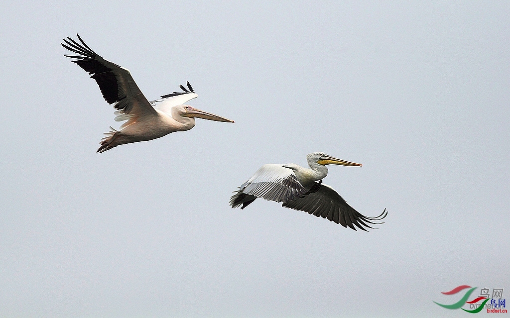 �㵴ɽ ��ʦ�������㽭ʡ������.jpg