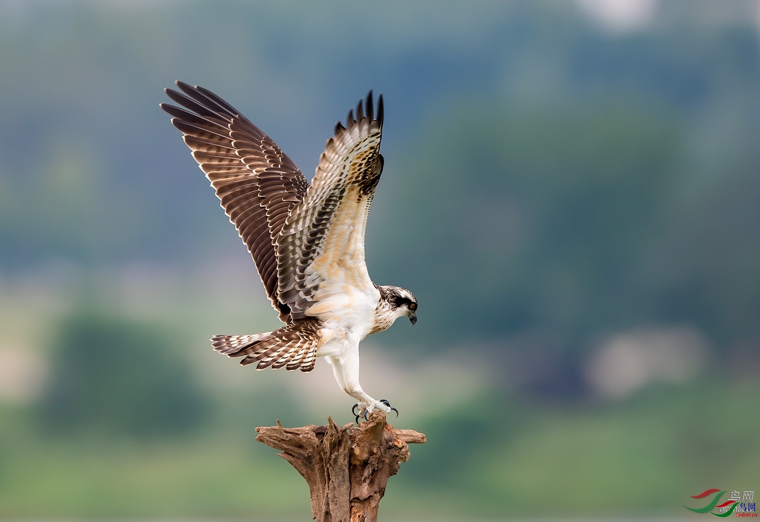 �e�  ��ʦ�������㽭ʡ������.jpg