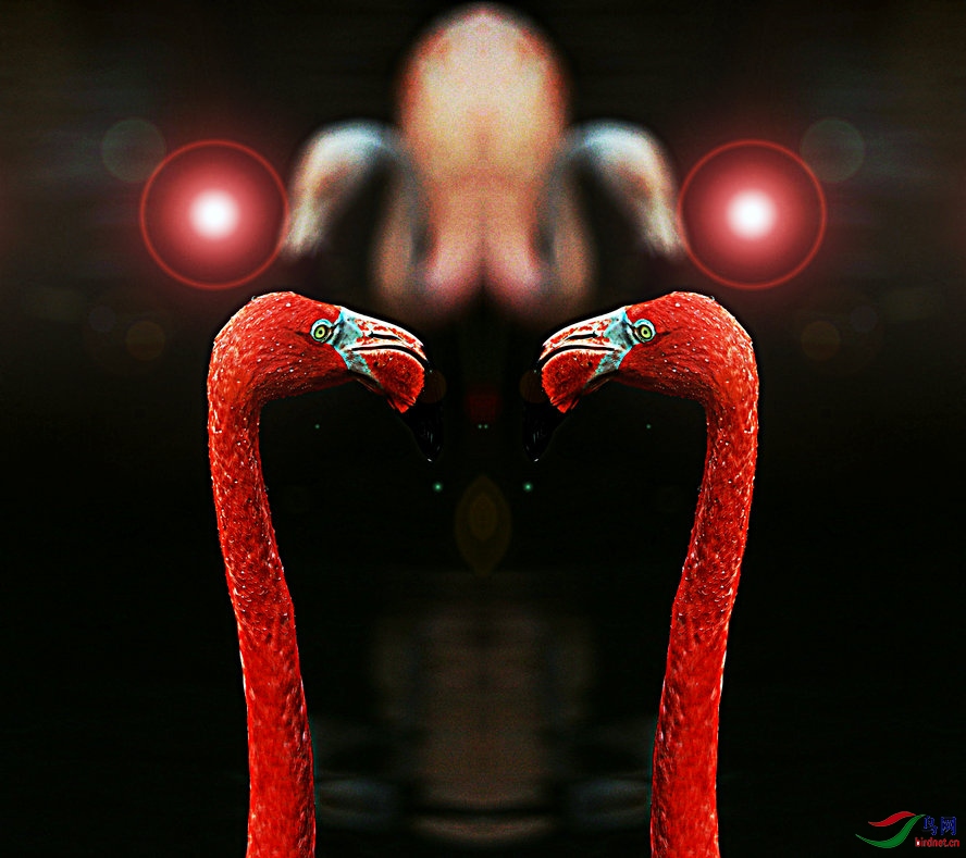 BW6I5611_����_����2_����.jpg
