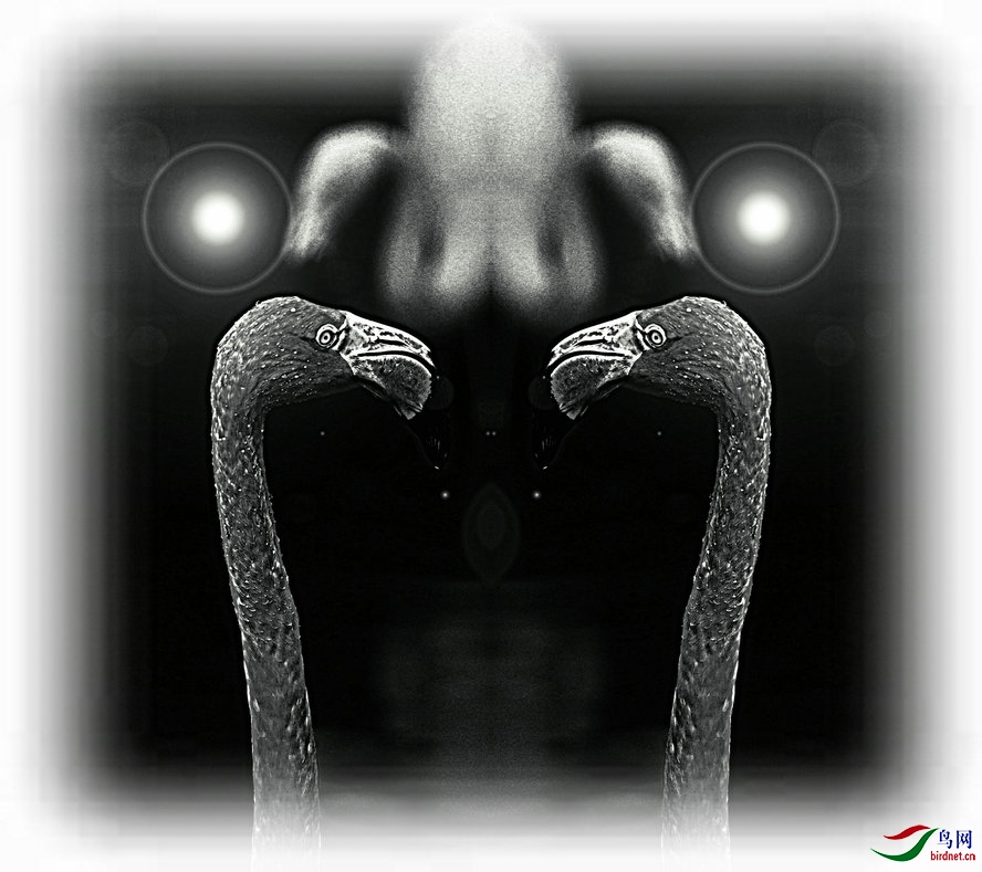 BW6I5611_����_����2_����1_����.jpg