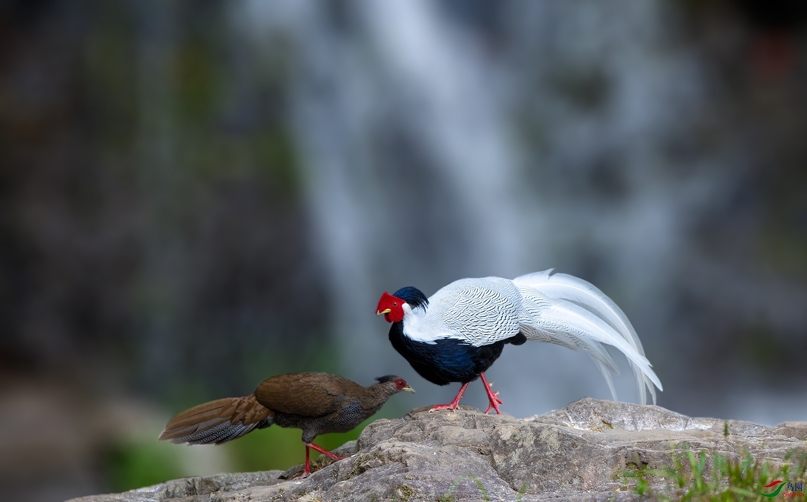 DSC_3647.jpg