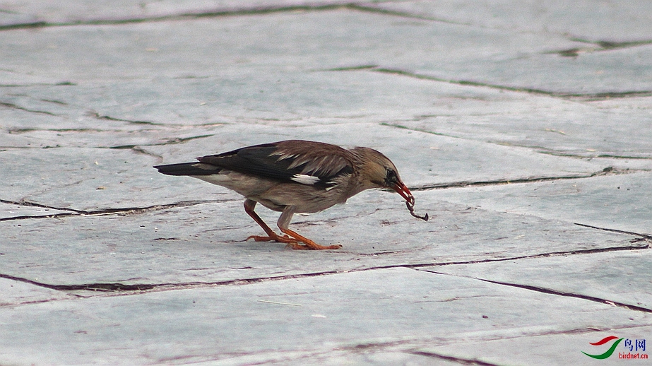 IMG_0059.JPG