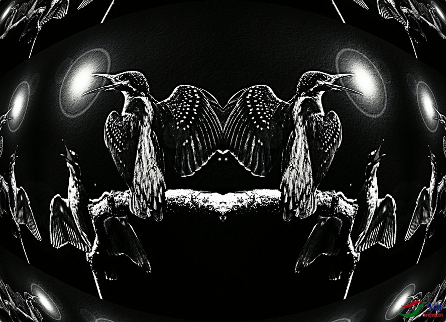 BW6I0454_����_����2_����1_����.jpg