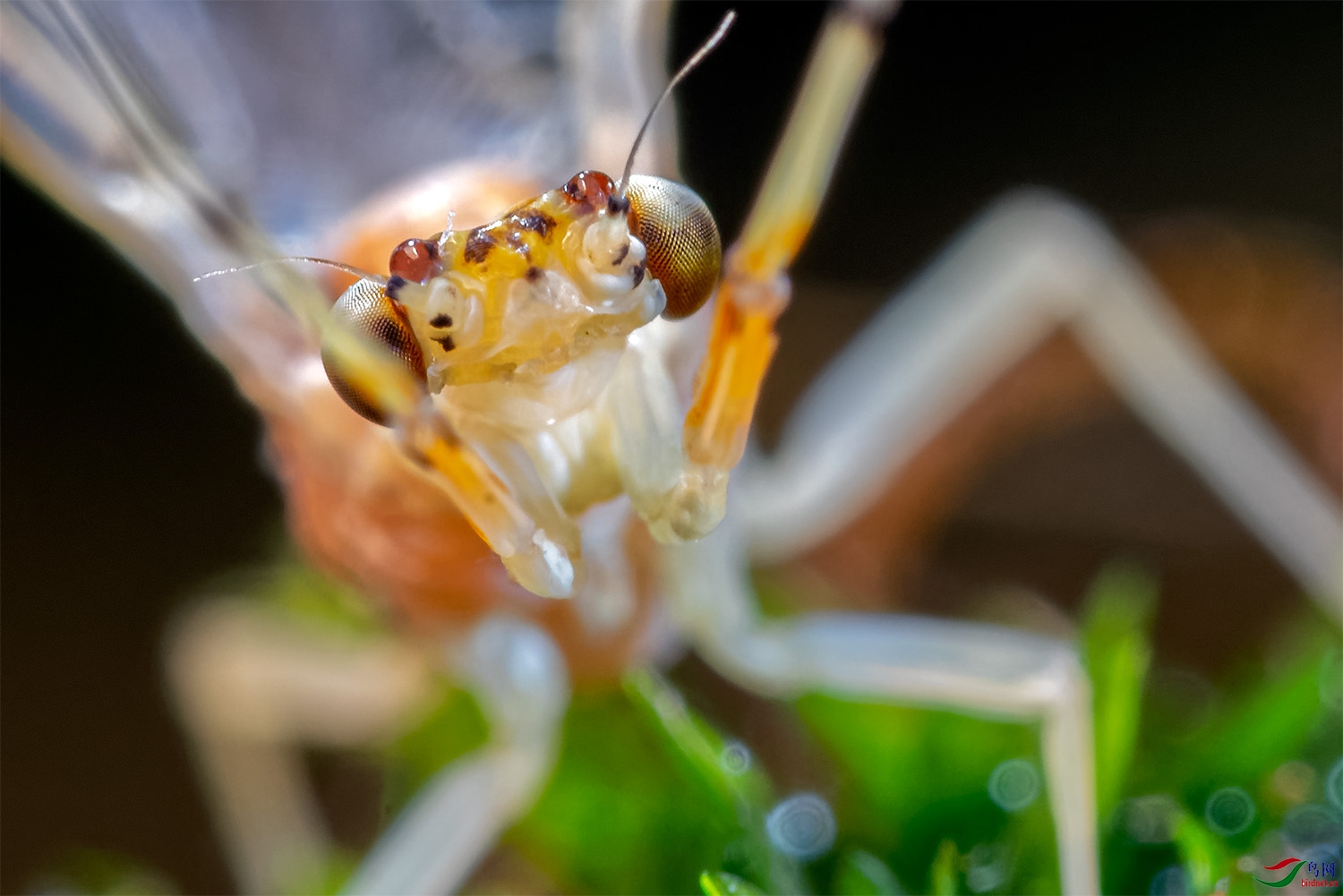 20190706-2_DSC7015_20210101.jpg