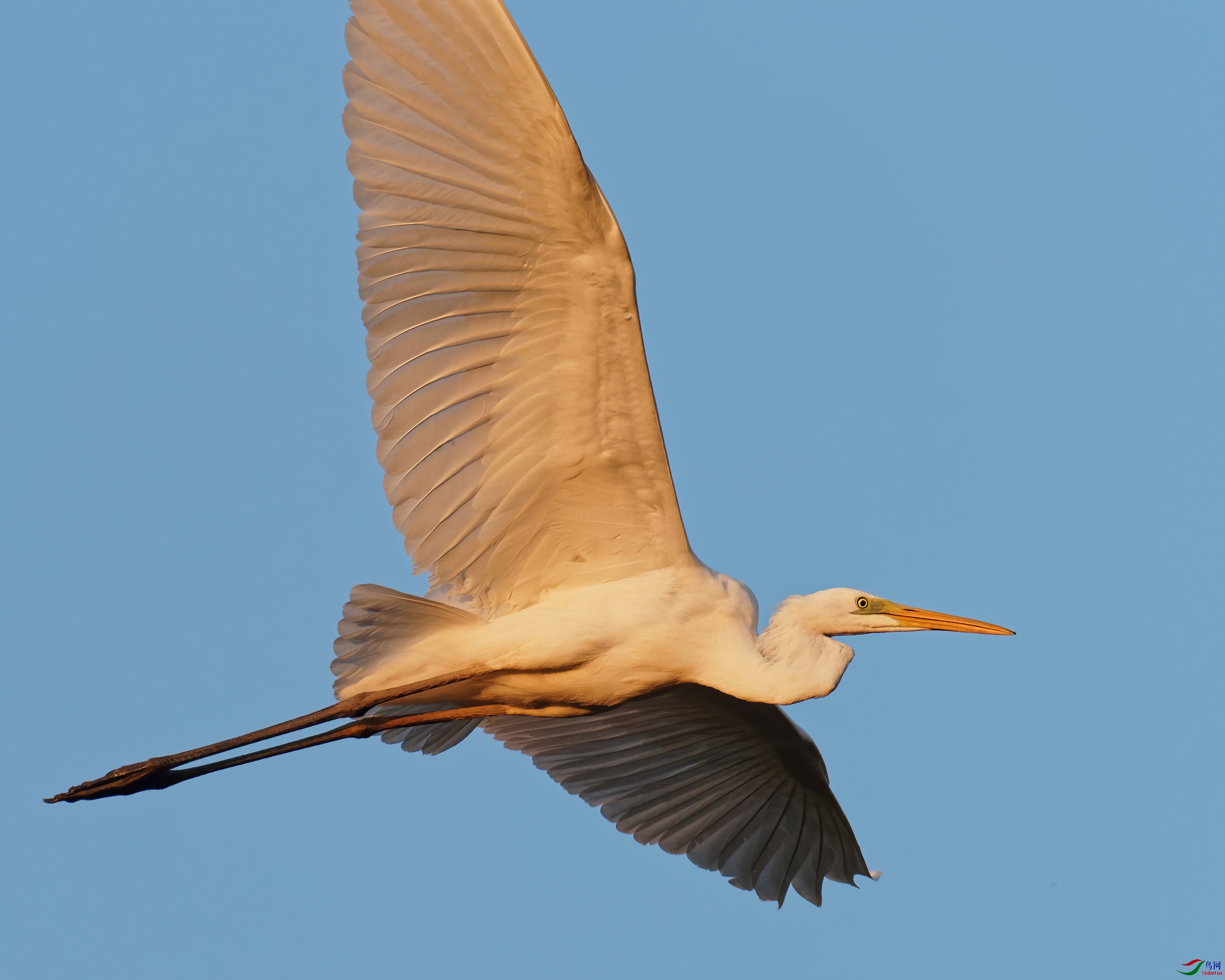 PB180027_DxO-d2.jpg