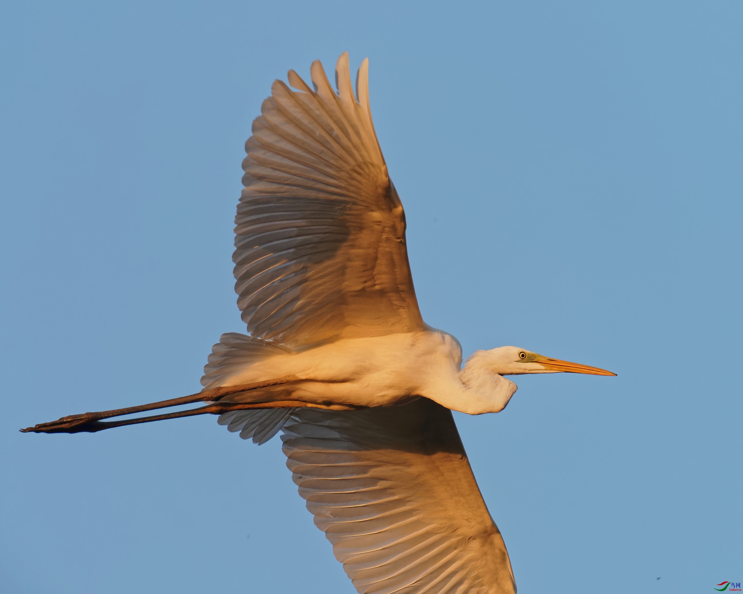 PB180028_DxO-d2.jpg