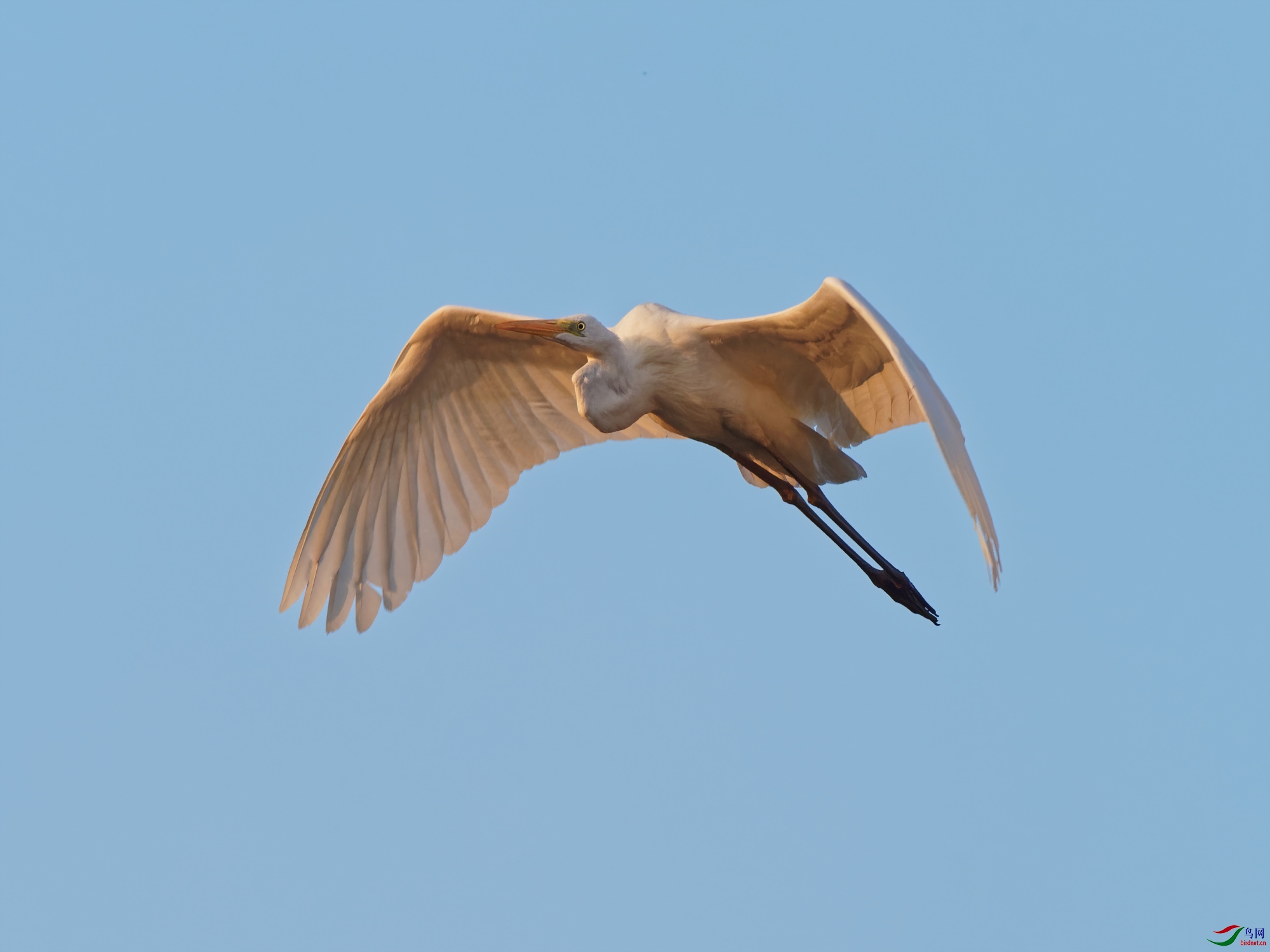 PB180046_DxO-d2.jpg