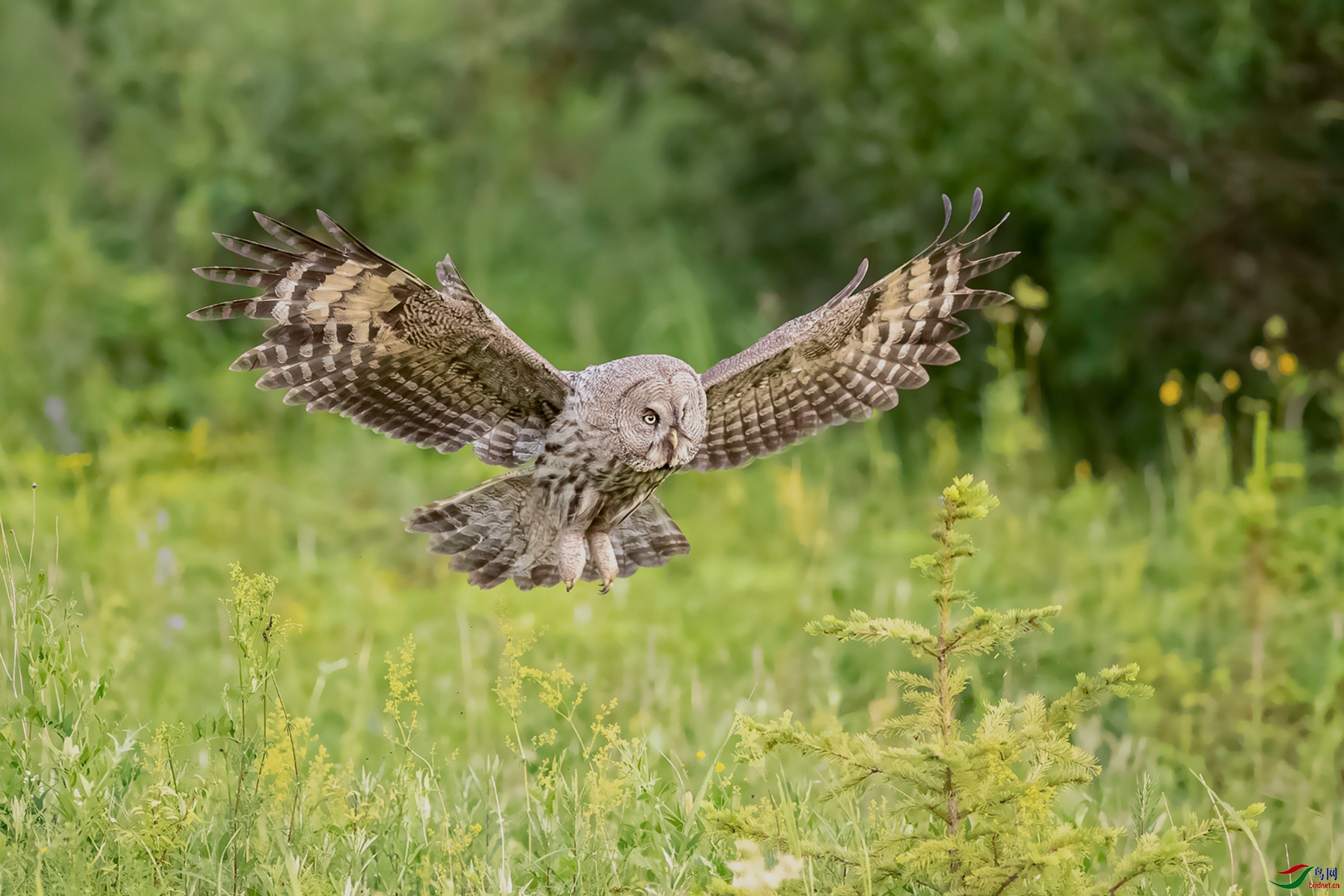 DSC_0903-2.jpg
