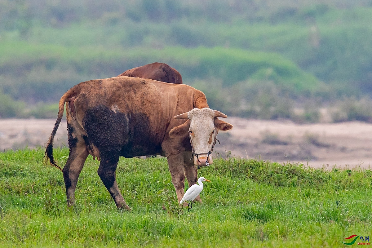 _A2I0313_����.jpg