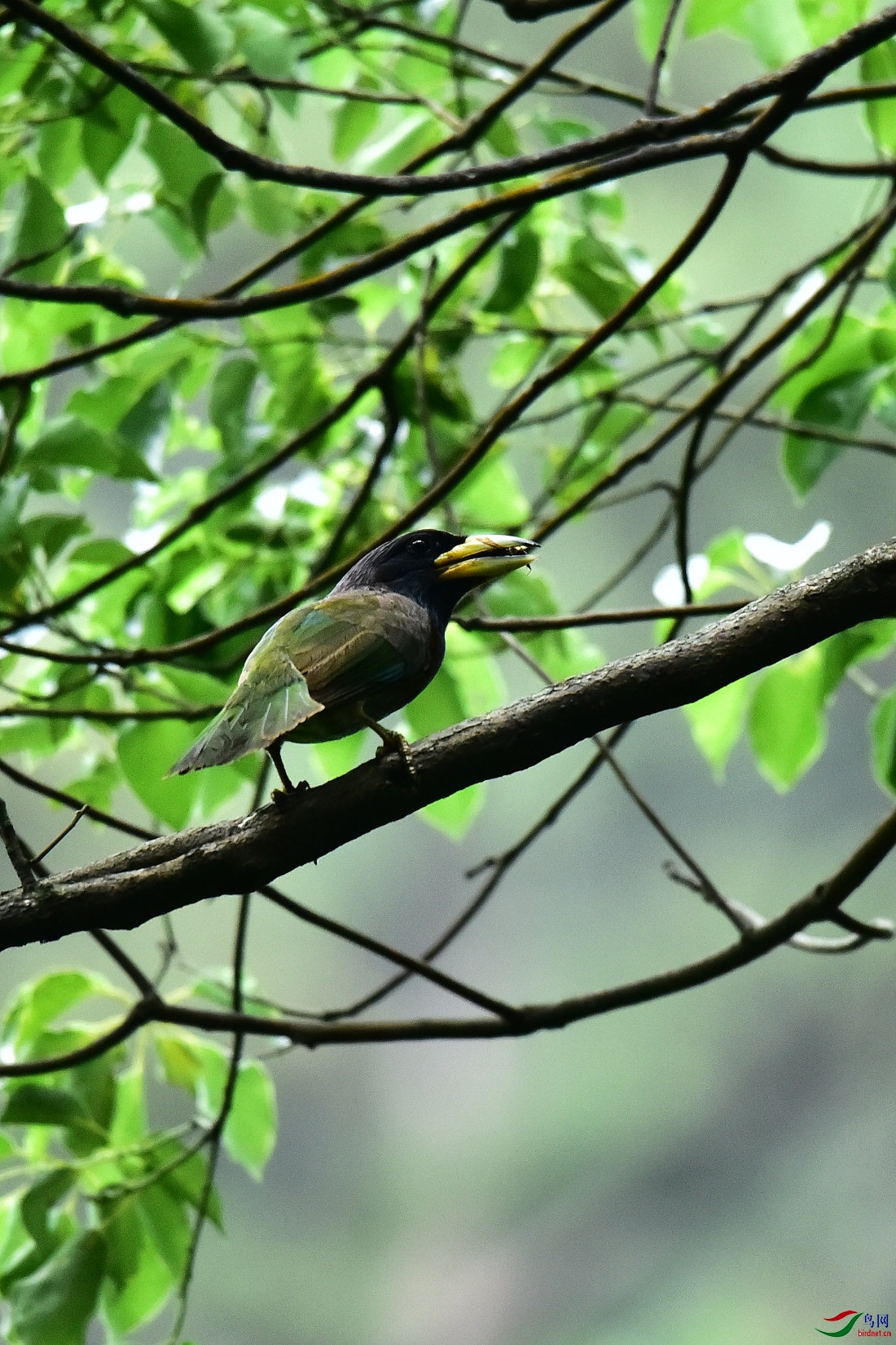DSC_0566.JPG
