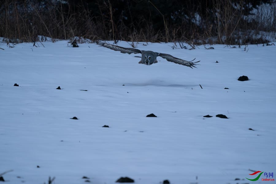 DSC02571 - ����.jpg