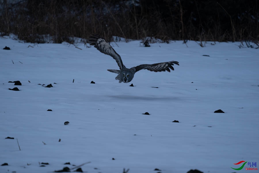 DSC02576 (2) - ����.jpg