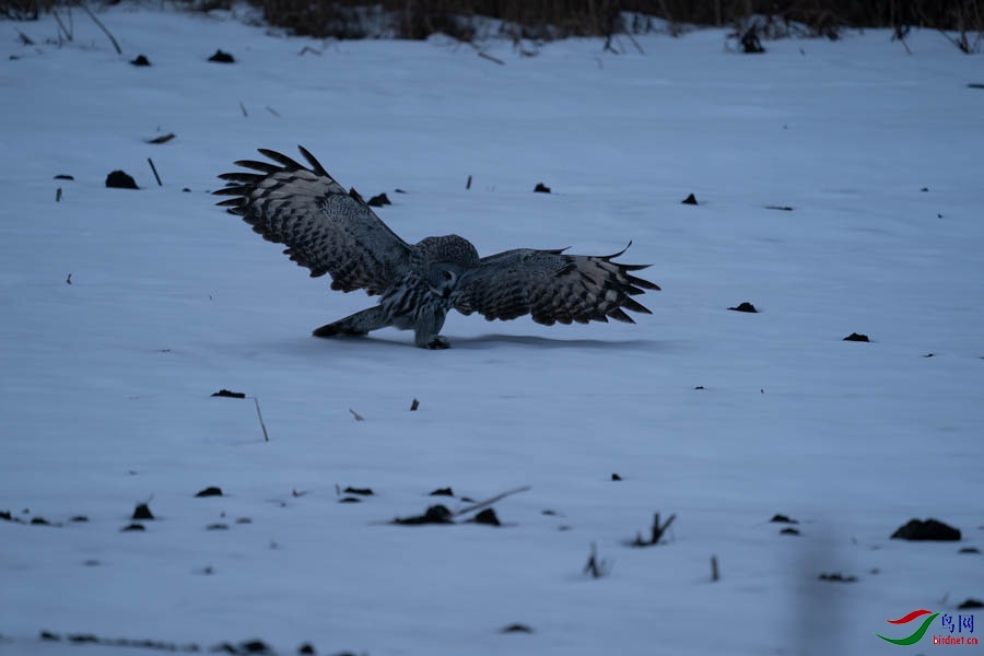 DSC02586 - ����.jpg