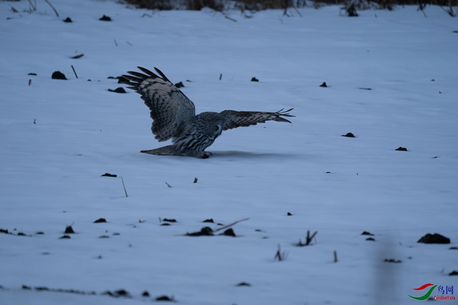 DSC02588 (2) - ����.jpg