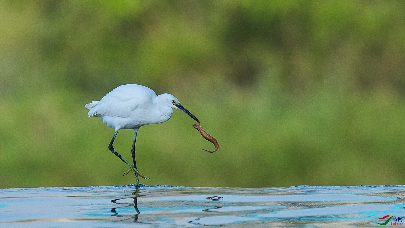 XCG_3217 - ����.jpg