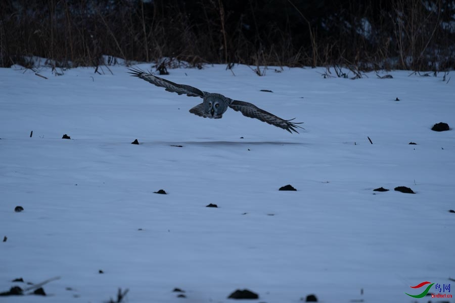 DSC02573 (2) - ����.jpg