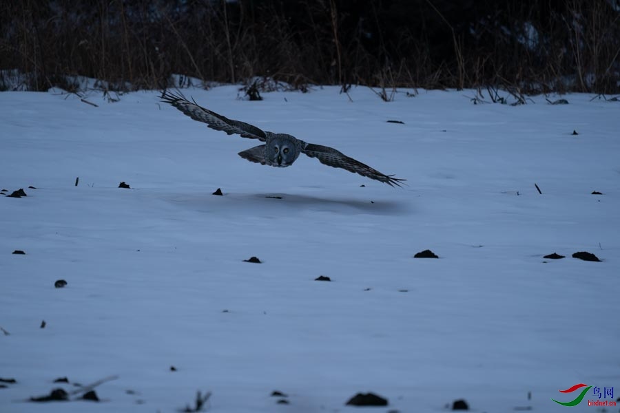 DSC02574 - ����.jpg