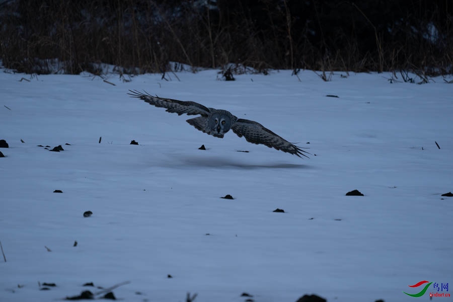 DSC02575 - ����.jpg