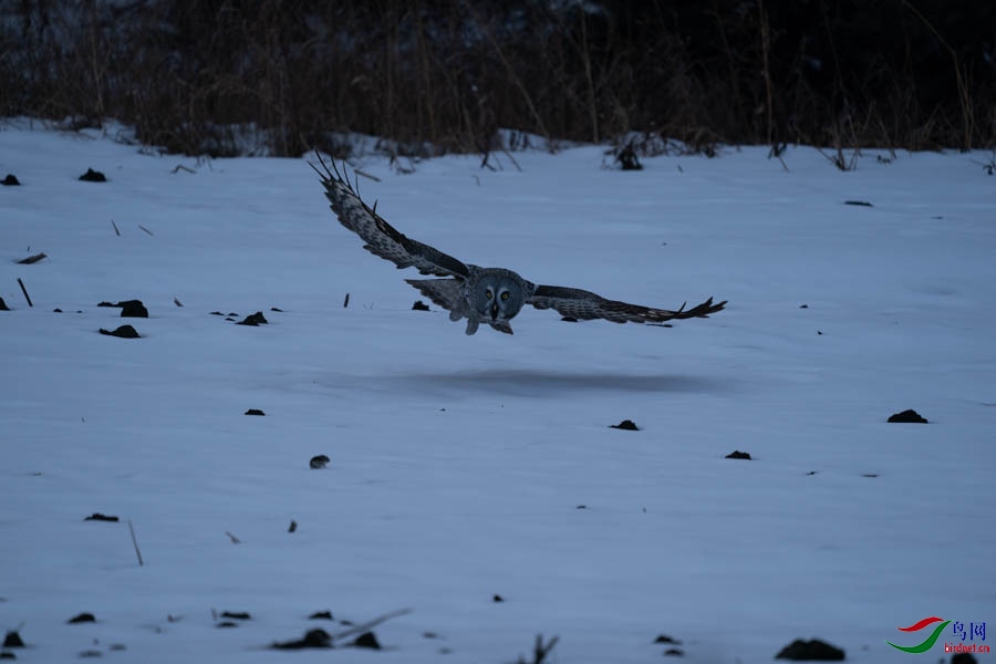 DSC02577 (2) - ����.jpg