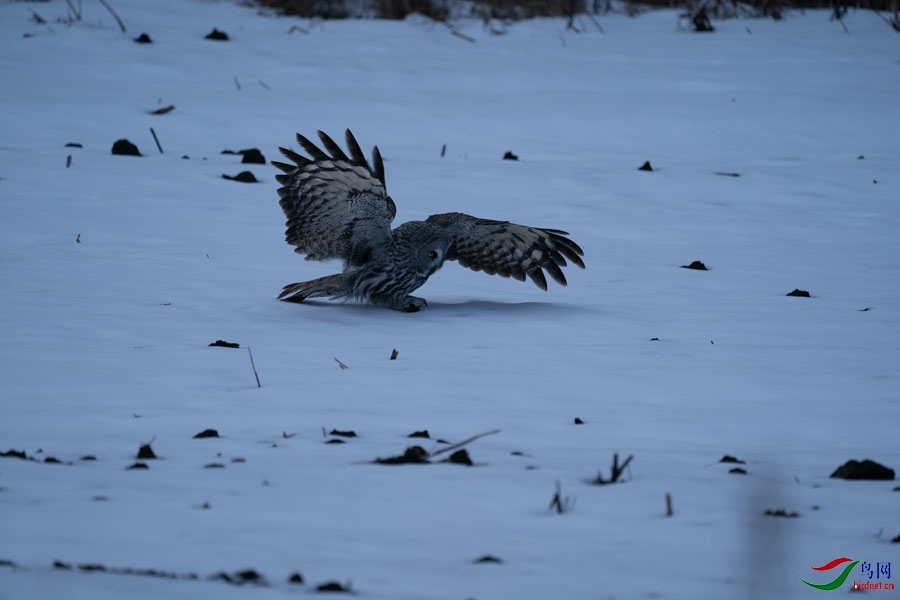 DSC02589 - ����.jpg