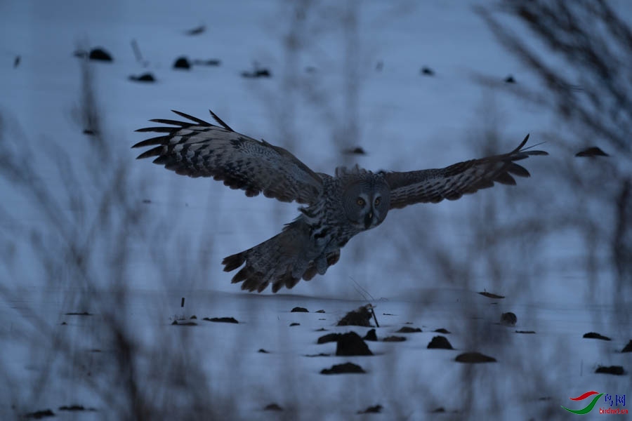 DSC02748 - ����.jpg