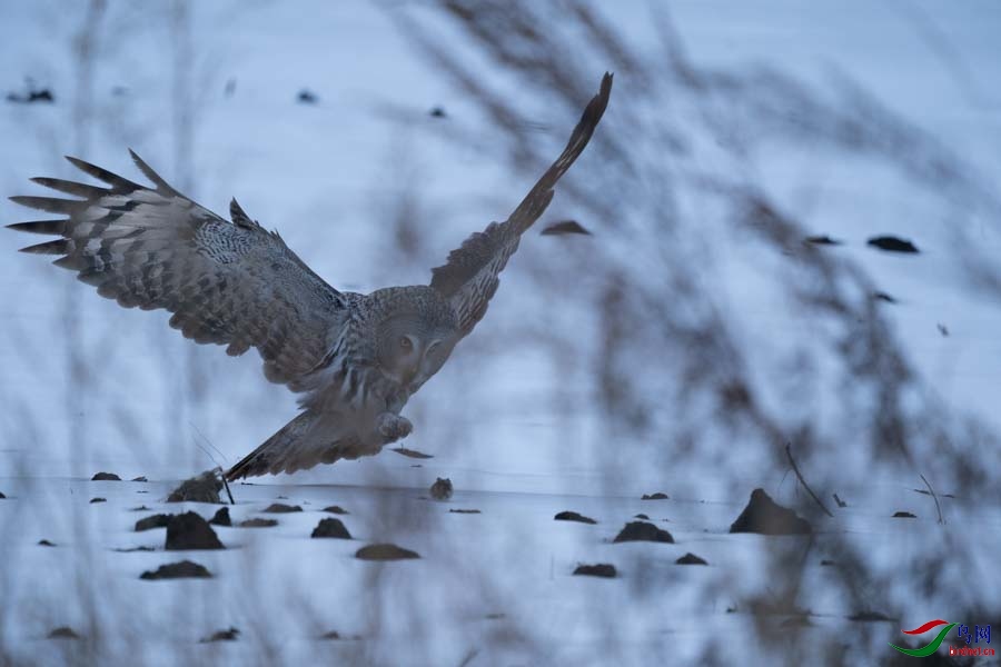 DSC02749 (2) - ����.jpg