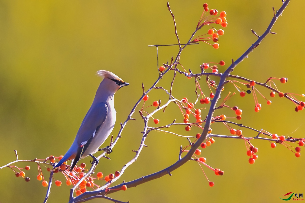 ף��λ��ʦ2021���⿵����̨���˶�����ۣ�
