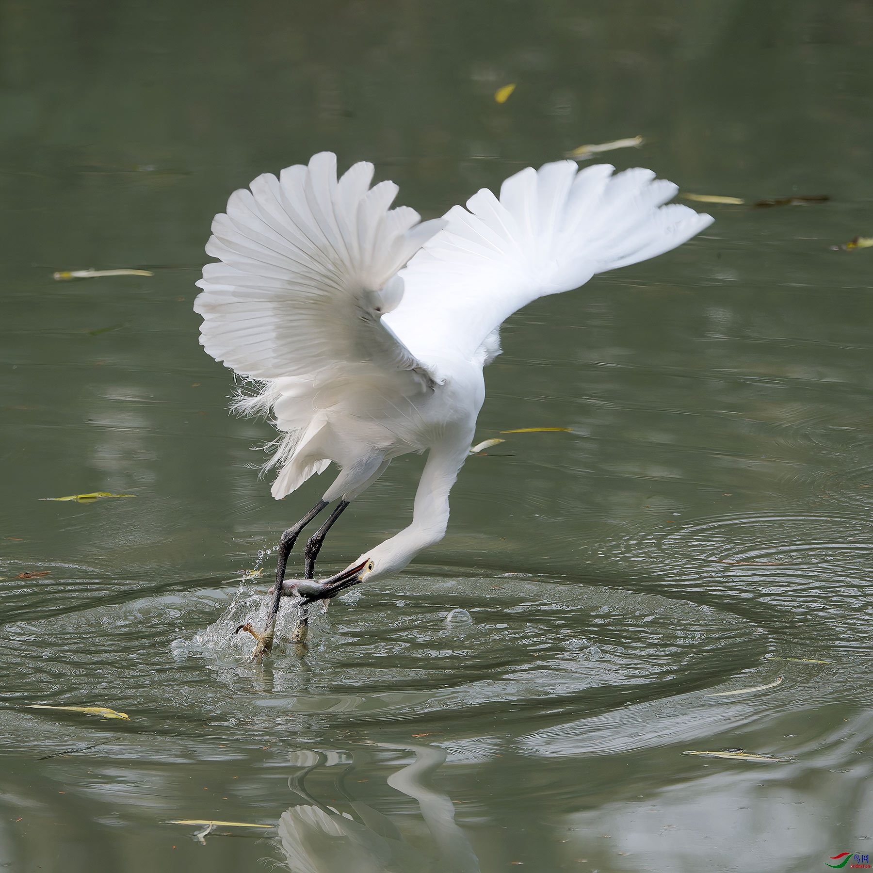 DSC_5721.jpg