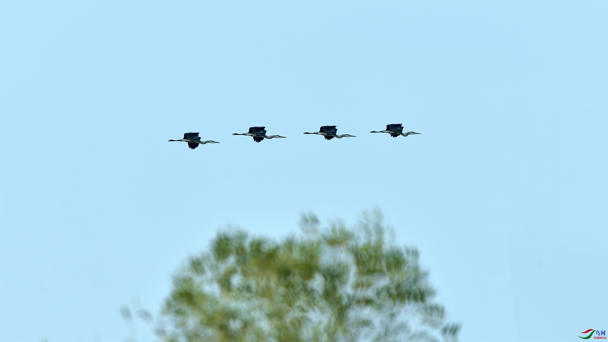 DSC_5036 �ϴ� ��ʿ�緶������ع⣩.jpg