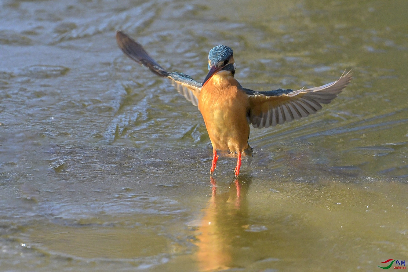 DSC_4154-2.jpg