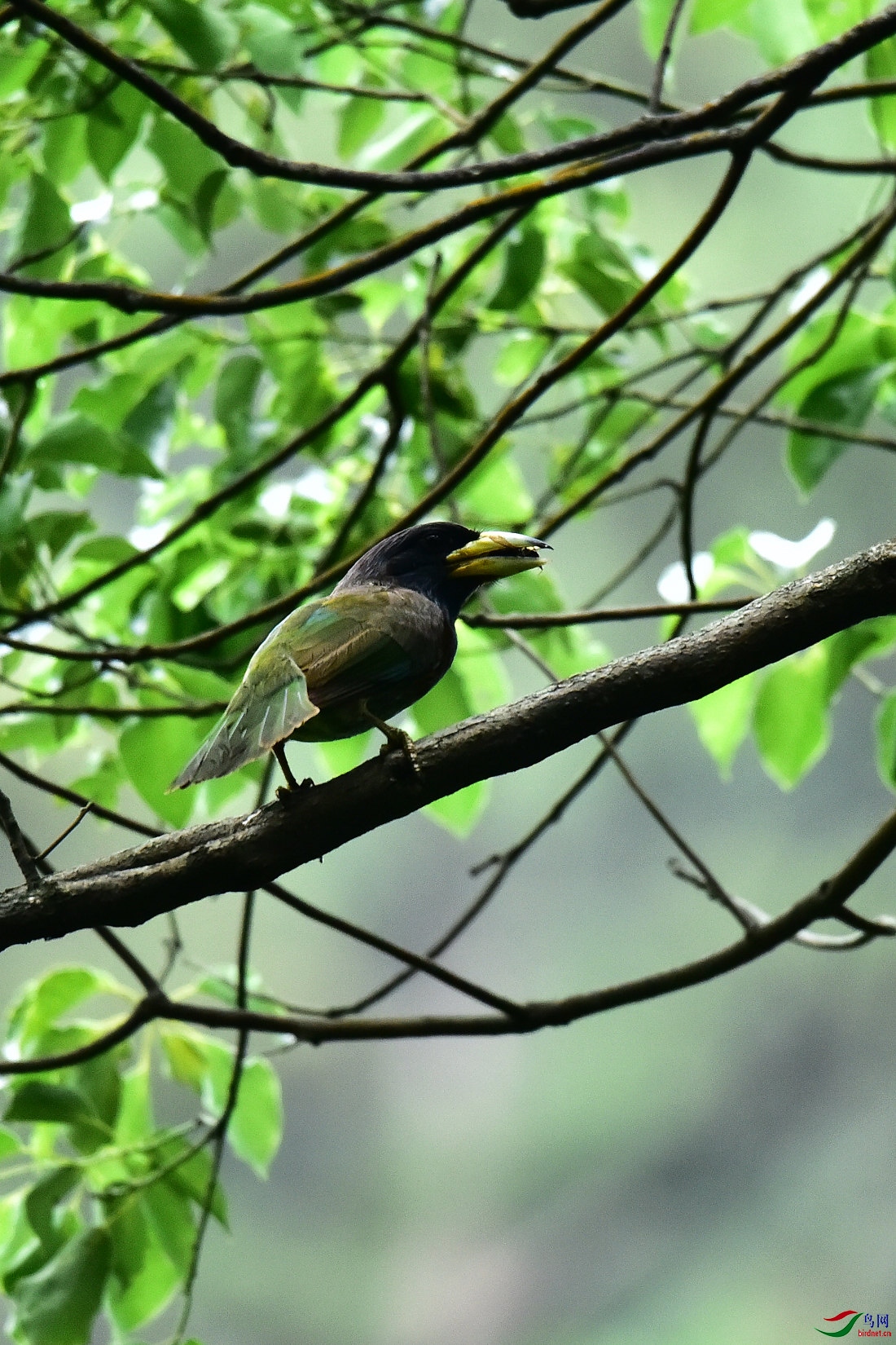 DSC_0567.JPG