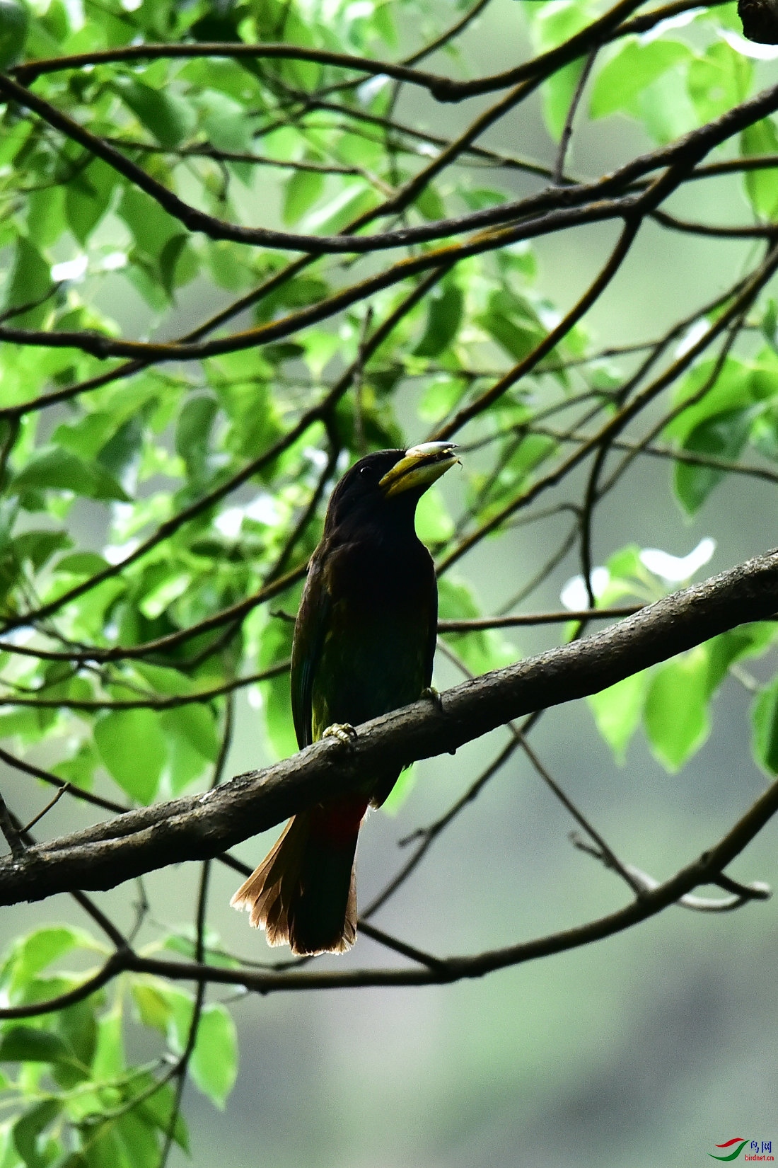 DSC_0569.JPG