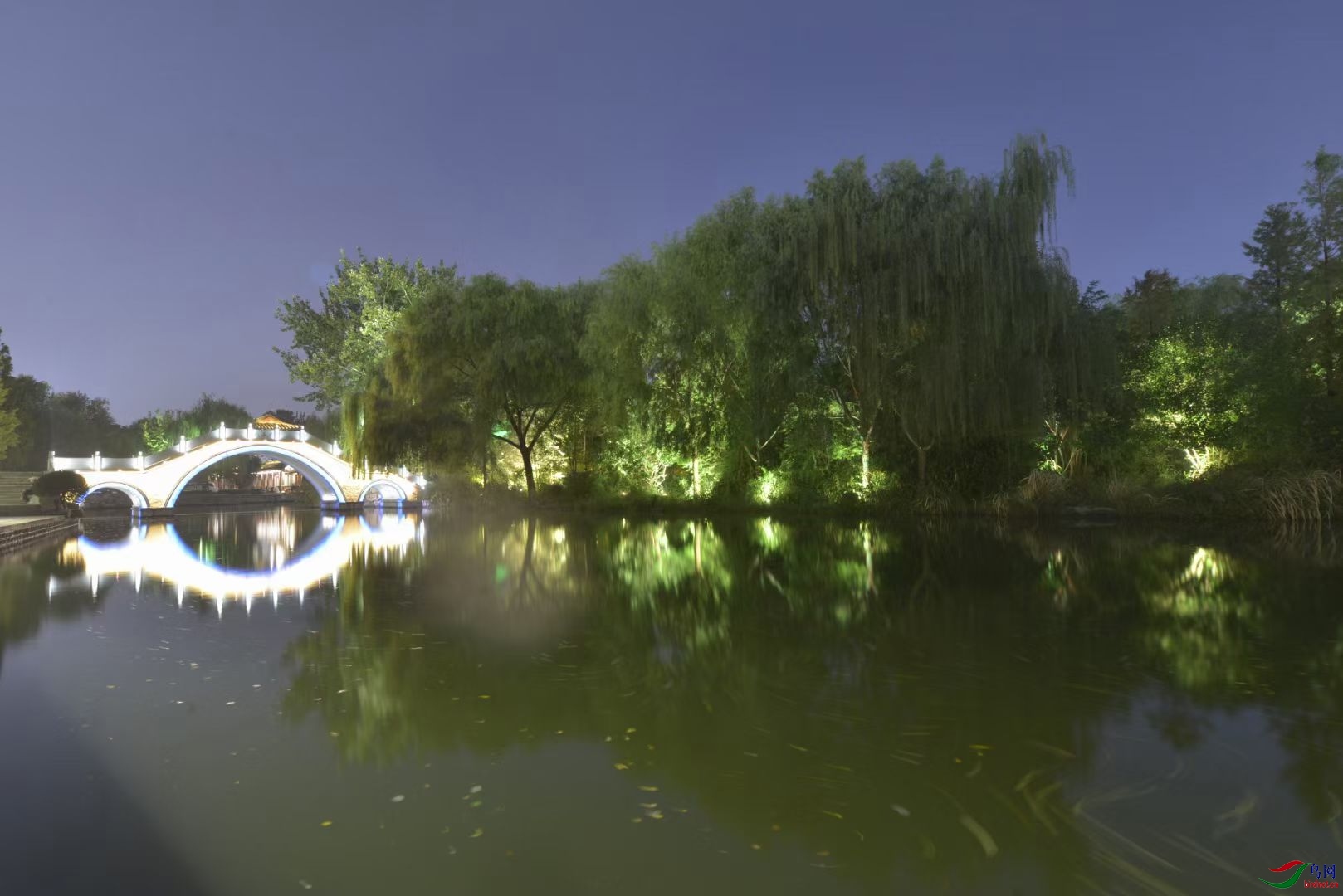 mmexport1609584899435.jpg