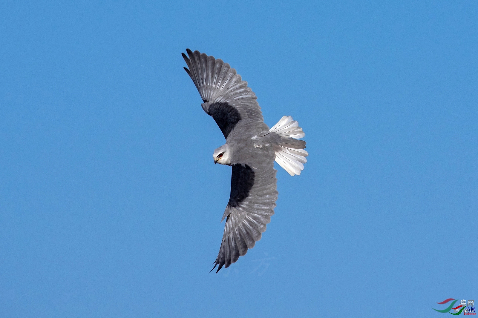 ����Ц ��ʦ�����ڱ����в�ƽ��.jpg