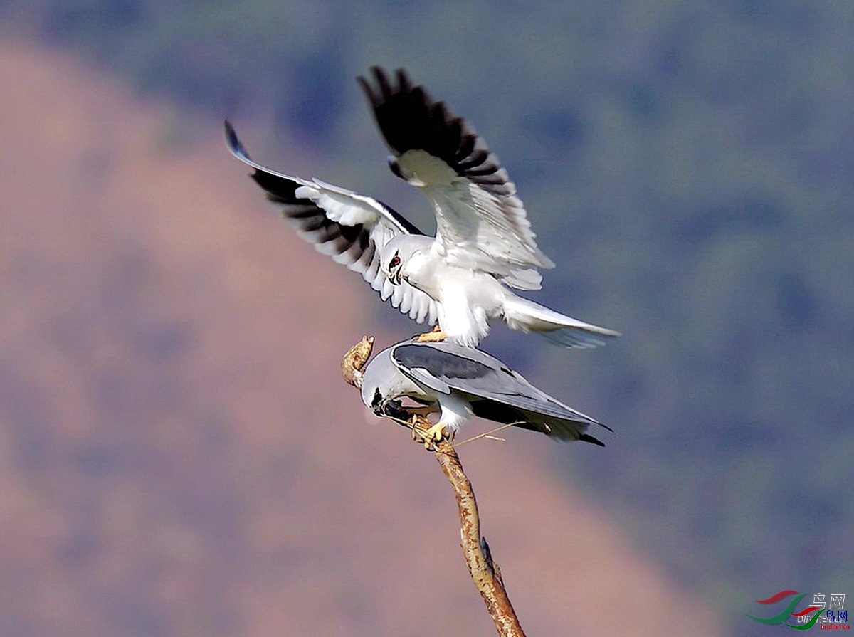 ̩ɽ2016 ��ʦ����.jpg