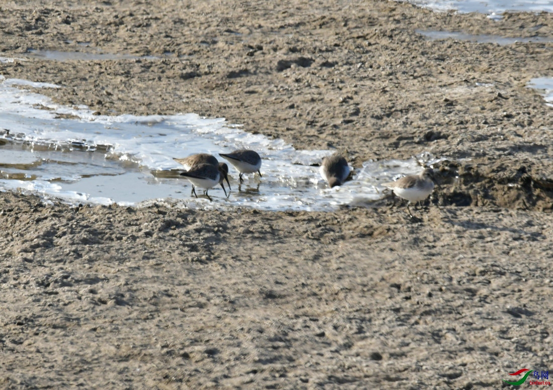 DSC_9041.JPG